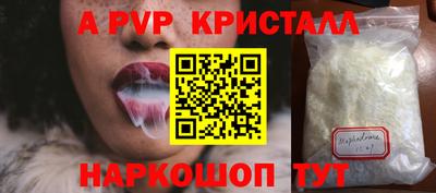 спиды Гусев