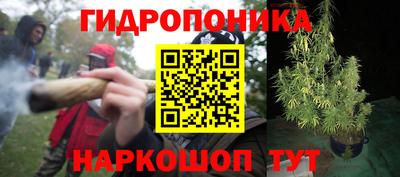 спиды Гусев