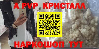 спиды Гусев