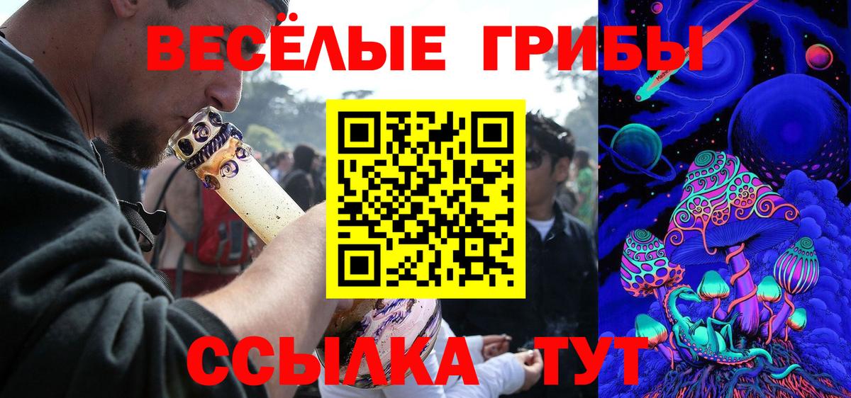 купить наркотик  Галлюциногенные грибы Psilocybine cubensis  Вход с VPN  Татарск 