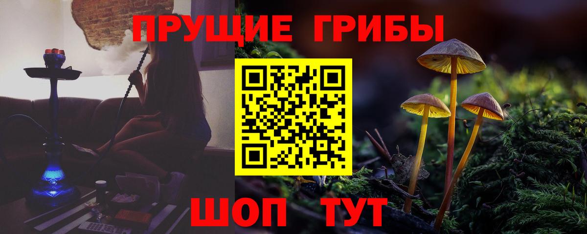 Галлюциногенные грибы Magic Shrooms Татарск